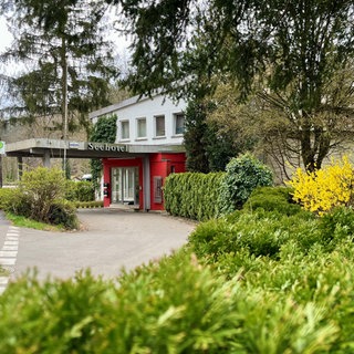 Das Seehotel Gelterswoog bei Kaiserslautern steht nun schon seit einiger Zeit leer. 