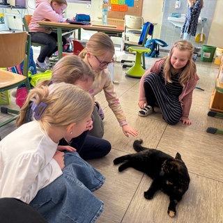 Eine Klassenkatze, das ist in der Grundschule Imsbach Alltag
