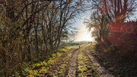 Frostig schönes Wetter in Zweibrücken mit Sonnenschein und blauem Himmel