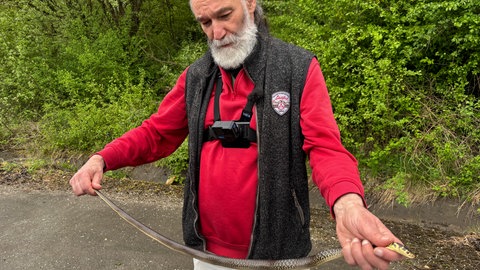Hubert Laufer geht auf Schlangenjadg in Zweibrücken.