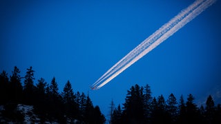 Darum lassen Flugzeuge Kerosin über dem Pfälzerwald ab. Flugzeug mit Kondensstreifen fliegt niedrig über Wald.