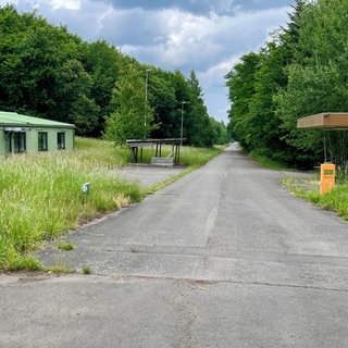 Die Bundeswehr kann das Munitionslager bei Kriegsfeld am Donnersberg erst nach 2028 wieder in Betrieb nehmen.