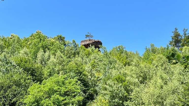 Im Blick: Der Teufelstisch in der Südwestpfalz, ein etwa 14 Meter hoher Fels aus Buntsandstein. 