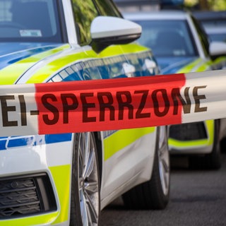 In Kriegsfeld im Donnersbergkreis hat die Polizei bei einem mutmaßlichen Reichsbürger Waffen gefunden.