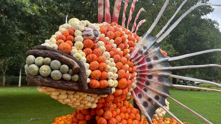 Rund 40.000 bunte Kürbisse sind für die Ausstellung in der Gartenschau in Kaiserslautern verarbeitet worden. 
