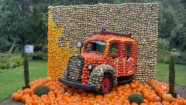 Rund 40.000 bunte Kürbisse sind für die Ausstellung in der Gartenschau in Kaiserslautern verarbeitet worden. 