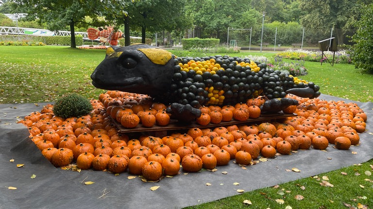 Rund 40.000 bunte Kürbisse sind für die Ausstellung in der Gartenschau in Kaiserslautern verarbeitet worden. 