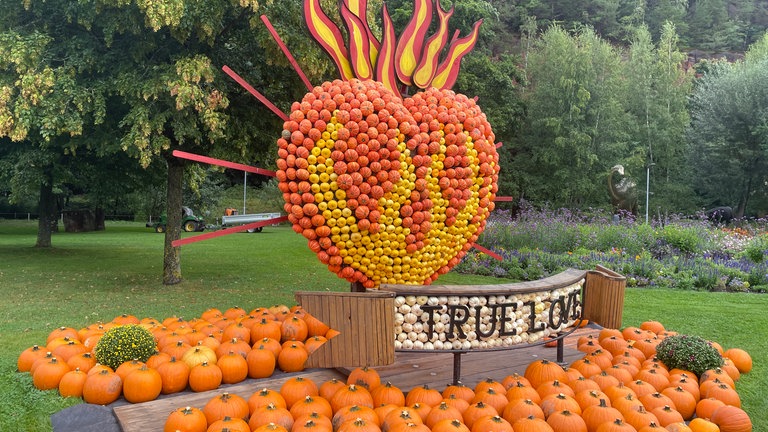 Rund 40.000 bunte Kürbisse sind für die Ausstellung in der Gartenschau in Kaiserslautern verarbeitet worden. 