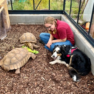 Mitten bei den Riesenschildkröten: Auf dem Therapiehof bei Katzweiler im Kreis Kaiserslautern fühlt sich Johanna wohl. 