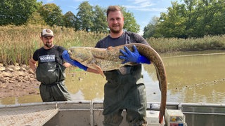 Im Seewoog im Kreis Kaiserslautern finden Helfer wie Lars von Mühlen bei der Naturschutz-Aktion auch mal einen Riesenwels.