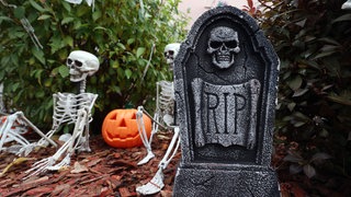 Ein Grab, Skelette und ein Halloween-Kürbis - Veranstaltungen zu Halloween in der Westpfalz