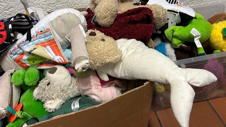  Wer die Wahl hat, hat auch die Qual. Hunderte gespendete Kuscheltiere konnten heute in der Stadthalle Otterberg bei der Spendenaktion abgeholt werden.