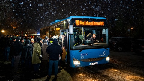 Shuttle-Busse fahren auch in diesem Jahr zur Wald-Weihnacht in Johanniskreuz. 