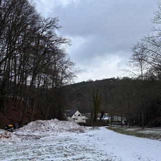 Im Wald bei Kaiserslautern ist ein Mann angeschossen worden. Der Täter floh nach der Tat, die Polizei fahndet.
