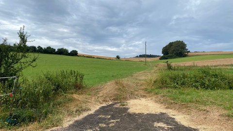 Feld in Otterberg bei Regenwetter im September 