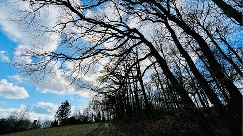 Lockere Wolken bei Herschweiler-Pettersheim.