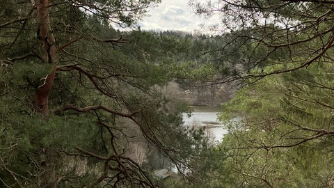 Blick auf den Eisweiher bei Pirmasens.