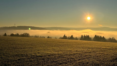 Sonnenschein und Nebel in Kaiserslautern.