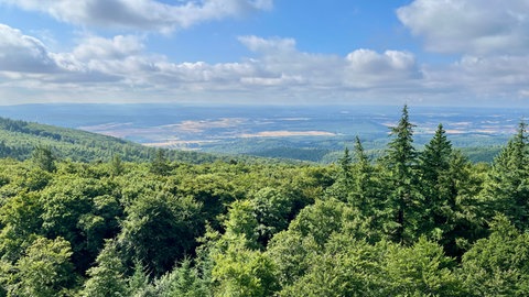 Der Donnersberg ist ein Ausflugsziel im Donnersbergkreis.