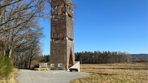 Vorfrühling am Kranichwoog bei Hütschenhausen