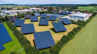 Neue Industriegebiete sollen in der Westpfalz entstehen.