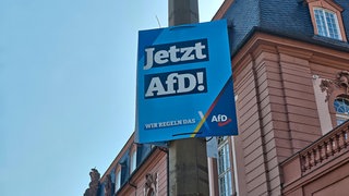 Die AfD konnte bei der Landtagswahl in Rheinland-Pfalz gerade bei den Wählerinnen und Wählern in und um Kaiserslautern punkten. 