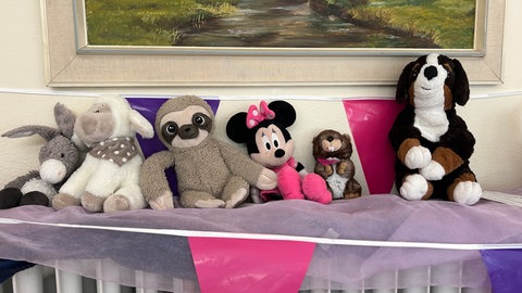 Wenn Kuscheltiere lesen lernen: Süße Übernachtungsparty in der Stadtbücherei Pirmasens