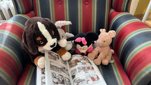 Wenn Kuscheltiere lesen lernen: Süße Übernachtungsparty in der Stadtbücherei Pirmasens