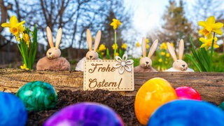 Bunte Ostereier und dekorative Osterhasen stehen im Garten mit Narzissen, dazu ein Holzschild mit der Aufschrift "Frohe Ostern"
