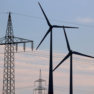 Mehlingen im Landkreis Kaiserslautern wird vorerst keine Windräder bekommen.