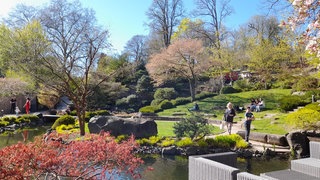 Ein Kleinod in der Innenstadt von Kaiserslautern: der japanische Garten. 