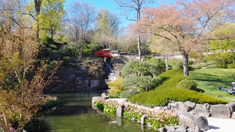 Dank der Unterstützung der Sparkasse Kaiserslautern kann der Japanische Garten in seine Zukunft investieren. 