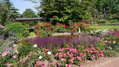 Gartentipps aus dem Rosengarten in Zweibrücken.