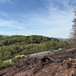 In der Nähe von Kaiserlautern ist es zu einem Waldbrand gekommen.
