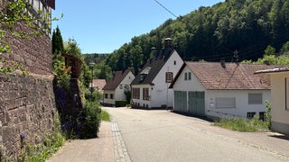 Hirschthal liegt im südlichen Pfälzerwald, kurz vor der französischen Grenze.