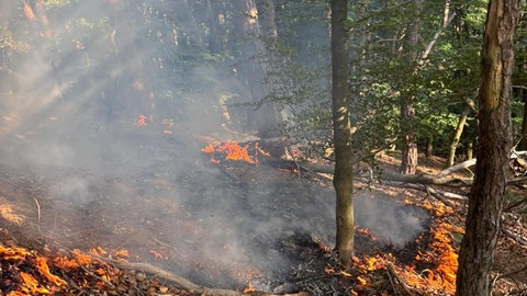Die Feuerwehr Kaiserslautern kämpfe die ganze Nacht gegen die Flammen. 