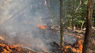Die Feuerwehr Kaiserslautern kämpfe die ganze Nacht gegen die Flammen. 
