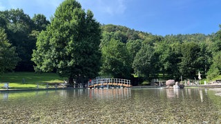 Herrliche Lage, leidet aber auch unter der Hitze: das Naturerlebnisbad in Landstuhl im Kreis Kaiserslautern.