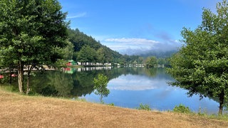 Mitten im Pfälzerwald: der Clausensee mit Campingplatz bei Waldfischbach-Burgalben. 