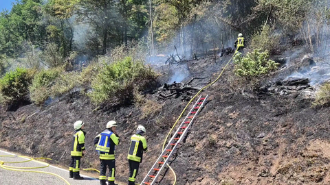 Für die rund 100 Einsatzkräfte war das Löschen am Hang herausfordernd, aber nicht unmöglich.