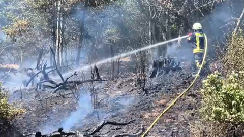Ein Feuerwehrmann löscht die bereits besiegten Flammen des Waldbrandes im Kreis Birkenfeld.