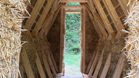 Studierende der Hochschule Kaiserslautern bauen einen nachhaltigen Unterstand im Pfälzerwald.