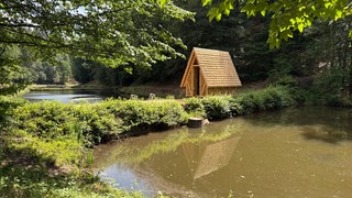 Studierende der Hochschule Kaiserslautern bauen einen nachhaltigen Unterstand im Pfälzerwald.
