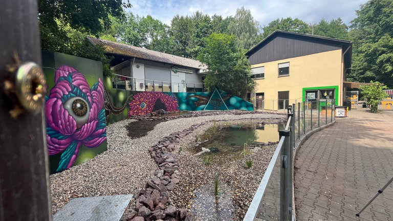 Die Otter aus dem Zoo Kaiserslautern spielen in ihrem neuen Gehege.