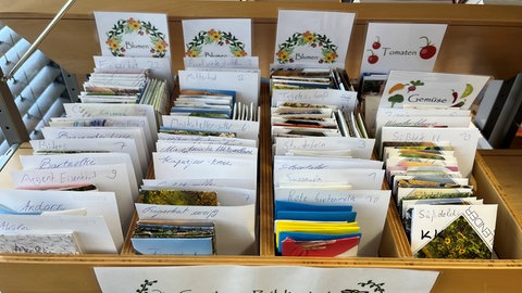 Das Saatgut ist in Tütchen verpackt und das ganze Jahr über in der Bücherei Zweibrücken zu finden.