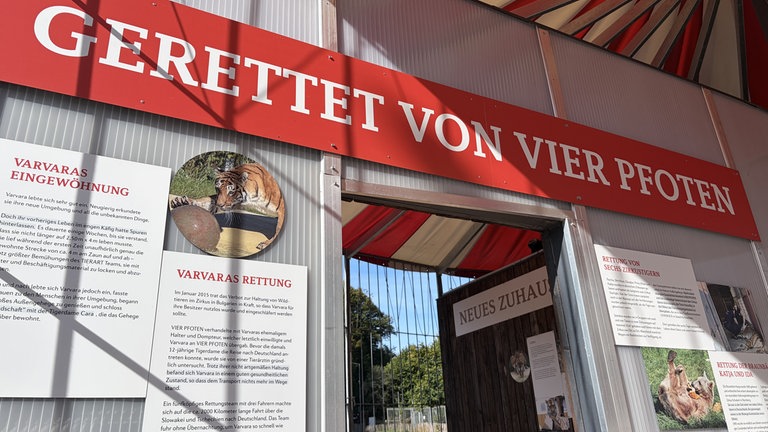Mehr als 1.000 Wildtiere konnten durch den Einsatz von der Tierschutzorganisation und dank vieler Helfer gerettet werden.