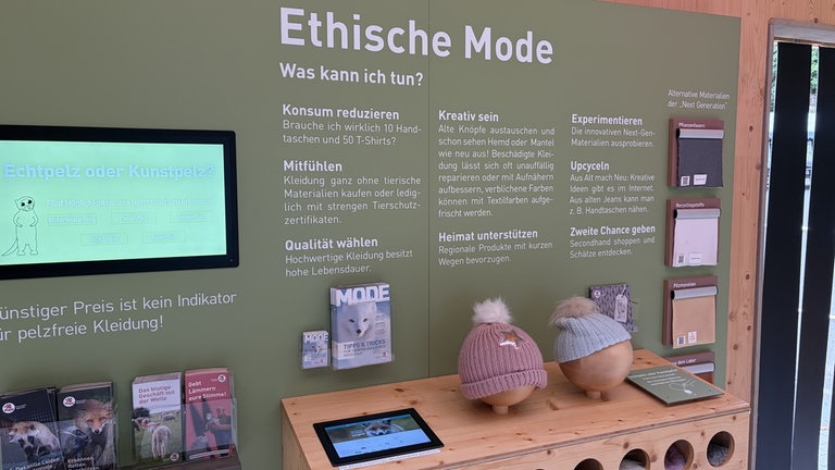 Mitmachaktionen und interaktive Ausstellungen sind über die Jahre nach und nach entstanden in Maßweißer. 