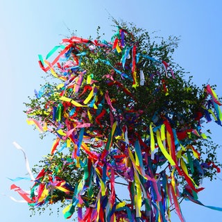 Ein bunt geschmückter Maibaum (Symbolbild) - in Rederscheid wurde so einer abgesägt.