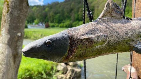 Ein brauner Keramikfisch aus der Nähe: Er gehört zu einem Kunstwerk von Michaela Klotz aus Antweiler, mit dem sie an die Opfer der ahrflut erinnern will.