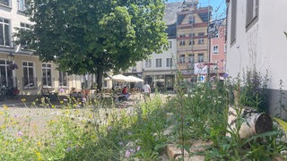Grünes Linz am Rhein